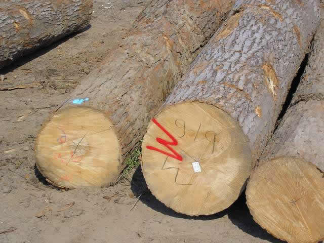 ԭľ--ôľԔ(x)B