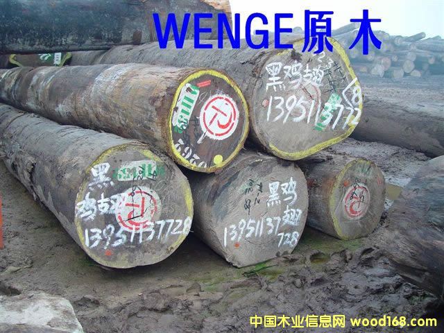 WENGE     u    ֧   240m3Ԕ(x)B