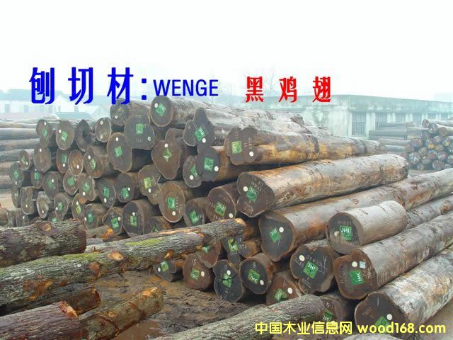 WENGE     u  240m3Ԕ(x)B
