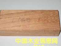 -LINGUE/APAԔ(x)B