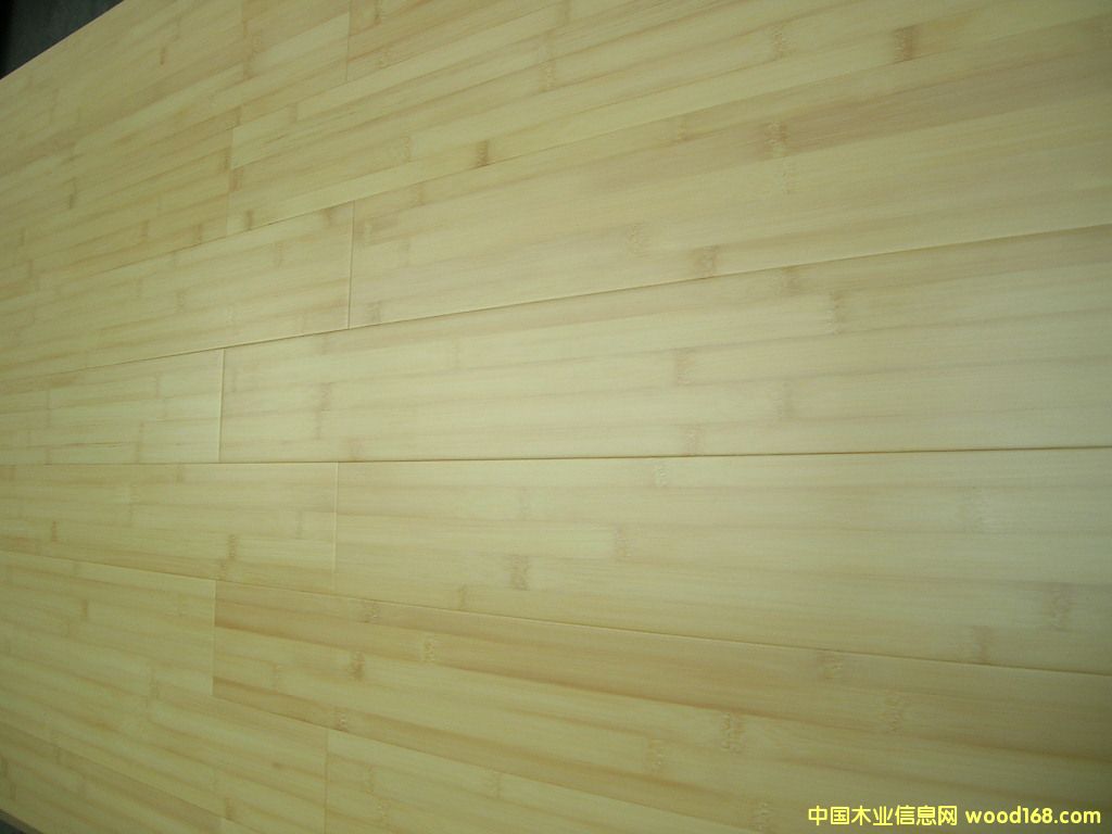 c(din)鿴bamboo flooringŴDƬ