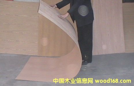Ȼ̩NԔ(x)B