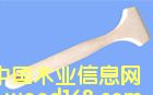 ˢԔ(x)B