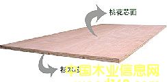 (x)ľ