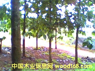 c(din)鿴ľ磨(gu)863(xing)Ŀ|(zh)ŴDƬ