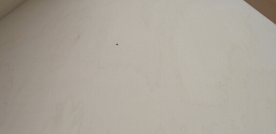 (yng)E0 E1 E2ȫľʽҾߌzϰ