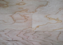 c(din)鿴(sh)ľ(f)ϰ(NľƤ)Ԕ(x)Y