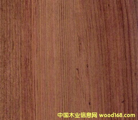8527(qing)(f)ϵذԔ(x)B