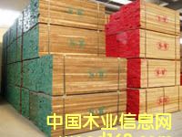 c(din)鿴(gu)ںҰķŴDƬ