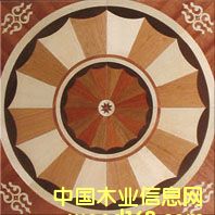 c鿴NSF-F6-Hua005ŴDƬ