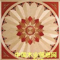 c鿴NSF-F6-Hua001ŴDƬ