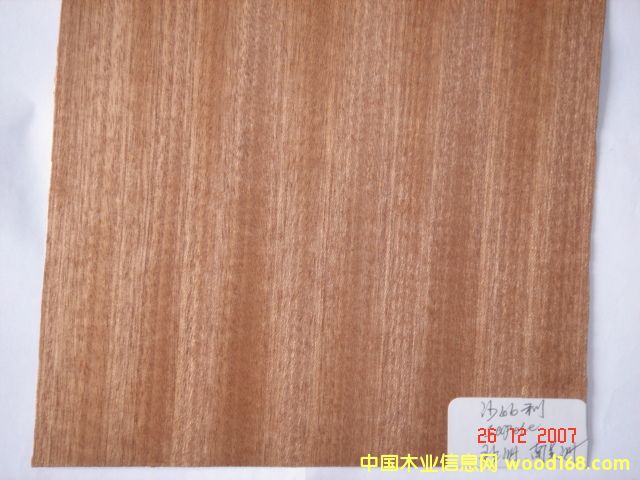 沙比利（非洲，南美）