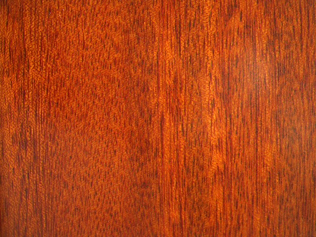 c(din)鿴Gɣ(sh)ľ(f)ϵذŴDƬ