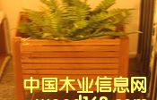 c(din)鿴ͥԺϵеԔ(x)Y