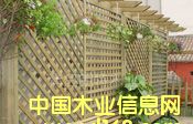 c鿴ϵзŴDƬ