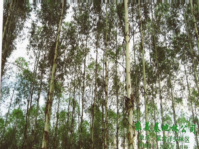 c鿴u(bio)ŴDƬ