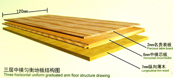 c(din)鿴(sh)ľذŴDƬ