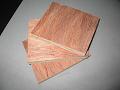 bintangoo face/back,poplar plyԔ(x)B