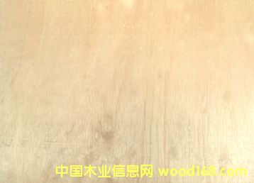 c(din)鿴tŴDƬ