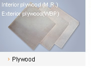 c鿴plywoodŴDƬ