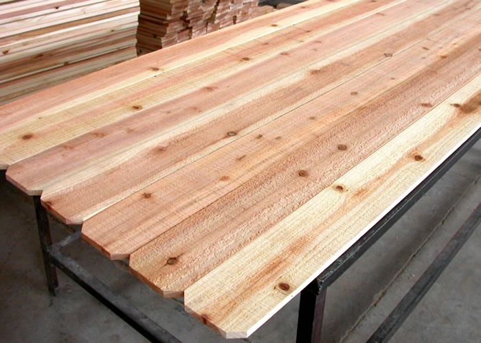 Red Cedar fenceԔ(x)B