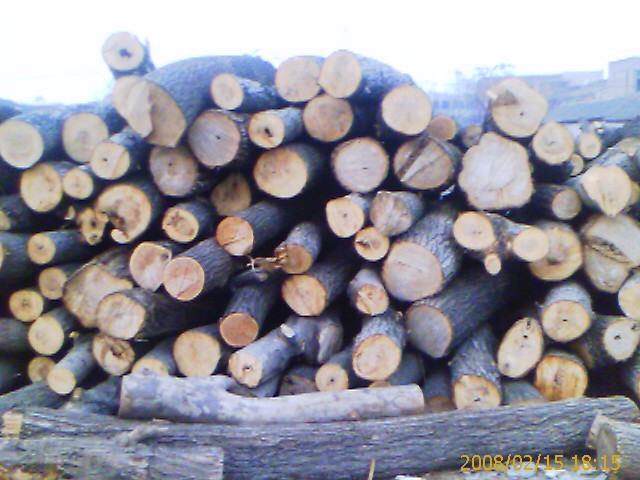 c(din)鿴ľԭľŴDƬ