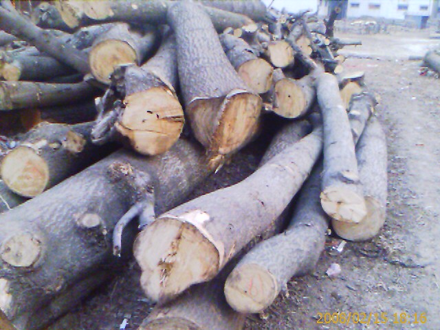 c(din)鿴ͩľԭľŴDƬ