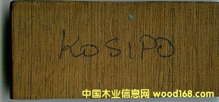 KASIPOԔ(x)B