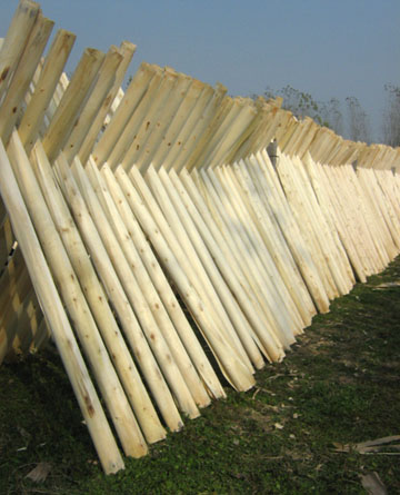 c鿴ľI(y)ŴDƬ