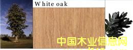 c鿴ŴDƬ