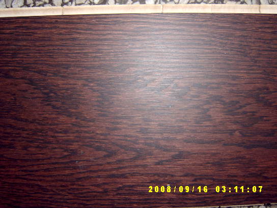 c(din)鿴1-strip coloration brownŴDƬ