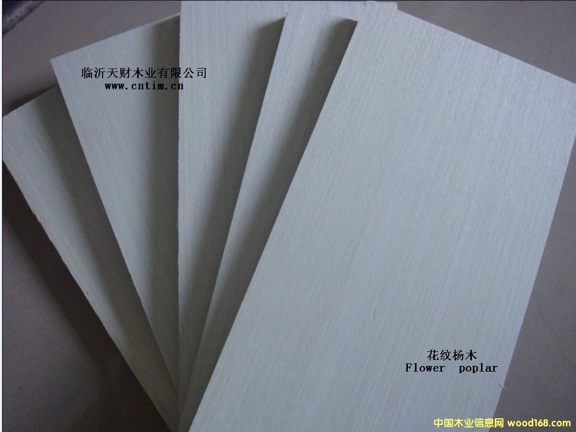 c(din)鿴ˇƷzϰŴDƬ