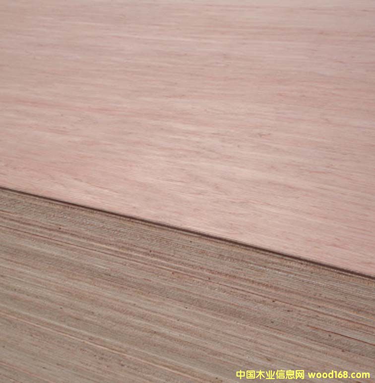 c(din)鿴Bingtangor_plywoodŴDƬ