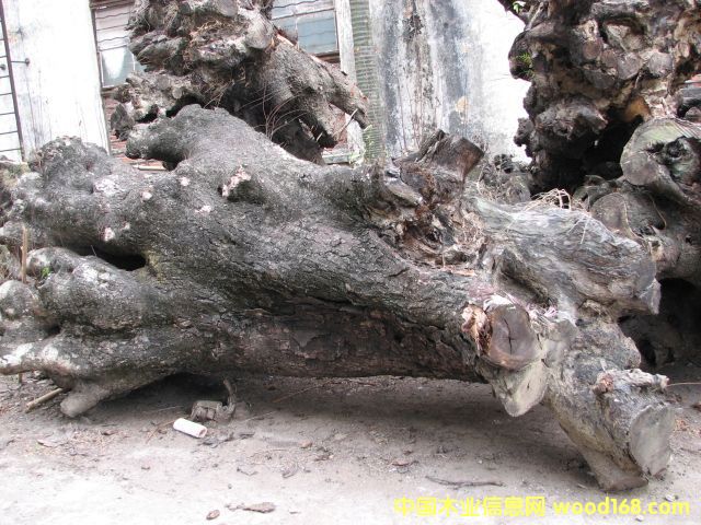uľϘԔB