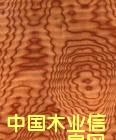c鿴ܶȰN12ŴDƬ