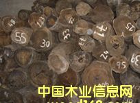 c鿴3ŴDƬ