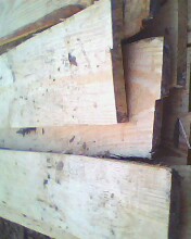 c(din)鿴ľ䡷ķŴDƬ