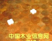 c(din)鿴ľɲŷŴDƬ
