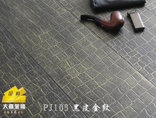 c(din)鿴PJ103#S׷ŴDƬ