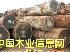c(din)鿴ľM(jn)Ͼ(bo)P(gun)/ϾľĈ(bo)P(gun)/ľM(jn)̷ŴDƬ