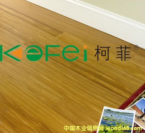 c鿴Ϙ匍ľذŴDƬ
