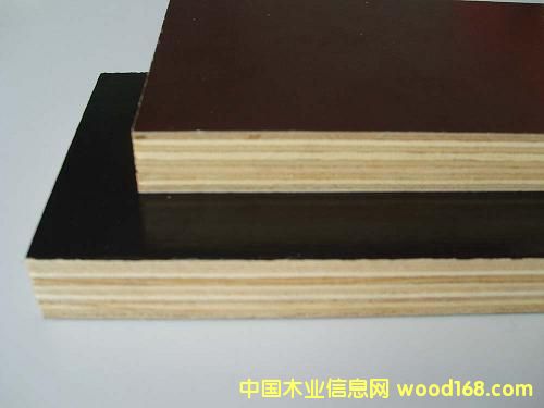 c(din)鿴film faced plywoodŴDƬ