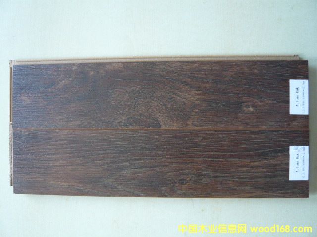 Autumn Oak(qing)ذ壩Ԕ(x)B