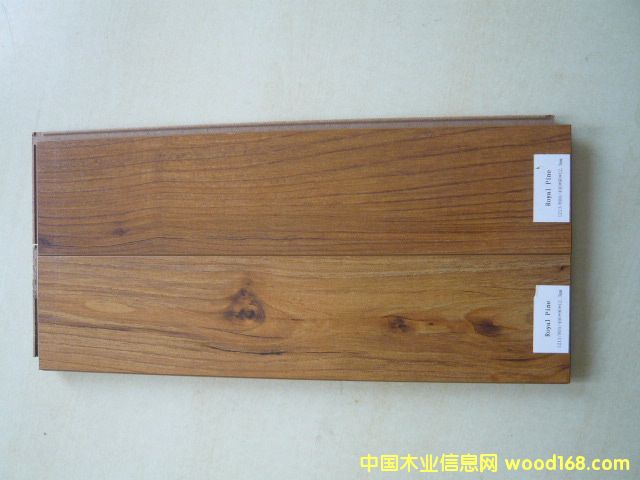 Royal Pine ((qing)ذ)Ԕ(x)B