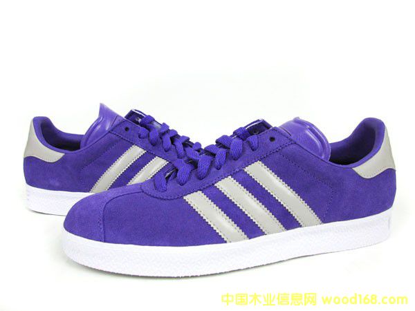 GAZELLE2G04367