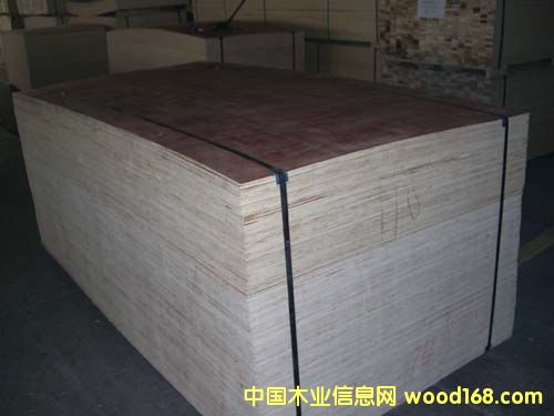 c(din)鿴b(j)zϰԔ(x)Y