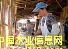 ɼƴF(xin)(chng)Ԕ(x)B
