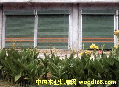 Tơľ|(zh)