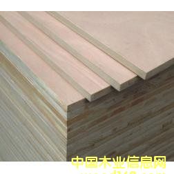 ɳl(f)ľ-LVL