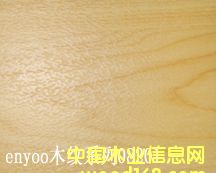 @(chng)،(zhun)õذ